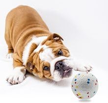 Dog Balls for Dogs:6 Pack 2.3 Inch Balls Compatible with Ball Launchers, for Puppy Dogs Medium Playing Exercise and Practice