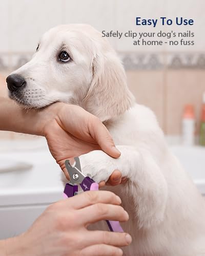 WePet Dog Nail Clippers U10.1, Dog Nail Trimmer Large Breed with Quick Sensor, Razor Sharp Blade Professional Pet Nail Clipper with Safety Guard and Nail File, Purple