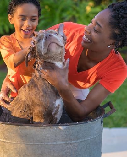 Showseason Bath & Brush Therapies® 3-Pack 4.5 oz. Pet Cologne: Pumpkin Spice, Merry Cranberry, Candy Cane For Dogs | Long-Lasting Odor Eliminator | Paraben-Free | Made In The USA