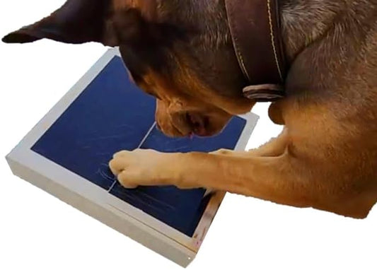 Dog Scratch Pad Nails Grinder Trimmers Clipper Board Paw Alternative pet Claw cat k9 Sanding Removal Emery File Treat Box Compartment Removeable lid (Scratch Box Kit)