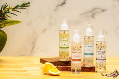 One Fur All Pet House Freshening Room Spray - Pumpkin Spice Pack of 2 - Concentrated Air Freshener - Non-Toxic & Pet-Friendly Air Freshener - Pet Odor Eliminator Room Spray