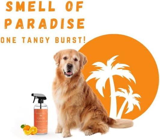 Orange & Co. Traditional Pet Odor Eliminator - Strong Citrus Formula for Stubborn Dog and Cat Pee Odors on Carpet, Furniture, and Indoor/Outdoor Floors - Deodorizer - 16 Fluid Ounces - Puppy Supplies