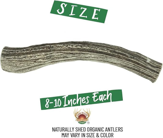 Deer Valley Dog Chews (Giant Single, 8-10 Inches) Sustainably-Sourced Deer Antler for Extra Large Dog Breeds - Durable Dog Chew Bone for Aggressive Chewers