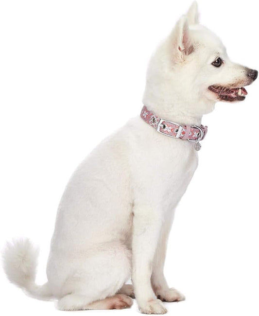 Blueberry Pet 3 Patterns Southwestern Modern Tribal Print Thistle Braided Adjustable Dog Collar with Metal Buckle, Neck 17-20.5", for Large Breed