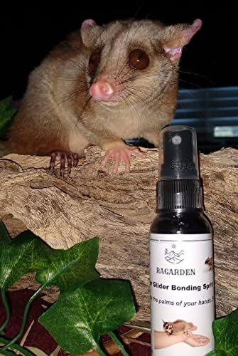 RAGARDEN Sugar Glider Bonding Spritz, Eucalyptus Scent, 2oz, Made in The USA.