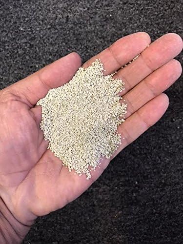 BioTurf Pet Deodorizer Granular Infill for Artificial Grass Turf, All Natural Dog Urine Neutralizer, Outdoor Use, 1 Gallon Pail