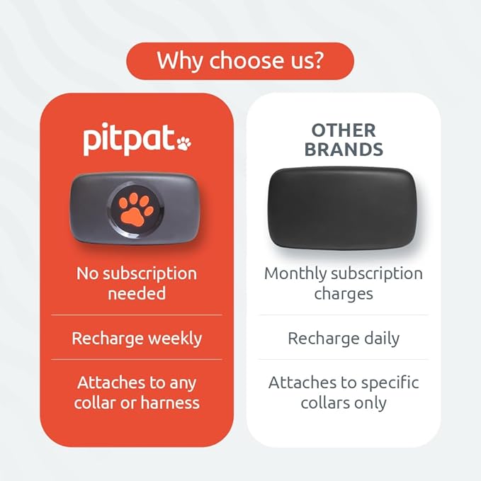 Dog GPS Tracker - No Subscription Fees - Suitable for All Dogs and Fits All Collars - Smart Activity Tracker, Satellite Tracking with Unlimited Range - 100% Waterproof Pet Tracker (Green)