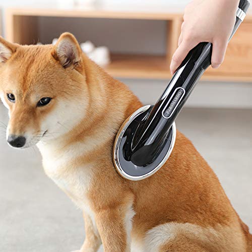 2 in 1 Pet Hair Dryer Blower with Brush 1000W Adjustable Temperature Slicker Shedding Brush for Hort Haired and Medium Small Coated Breeds