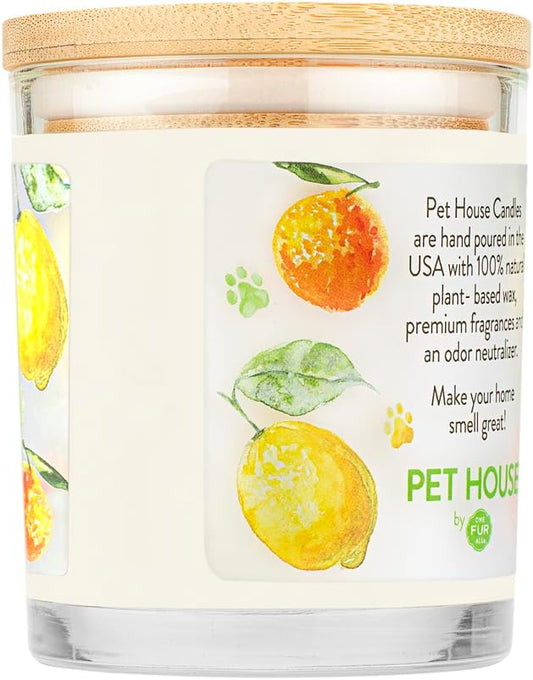 One Fur All Pet House Candle 2 Pack - Plant-Based/Soy Candle - Clean Burning Scented Candles, Long Lasting Pet Odor Candle for Home - Fresh Citrus