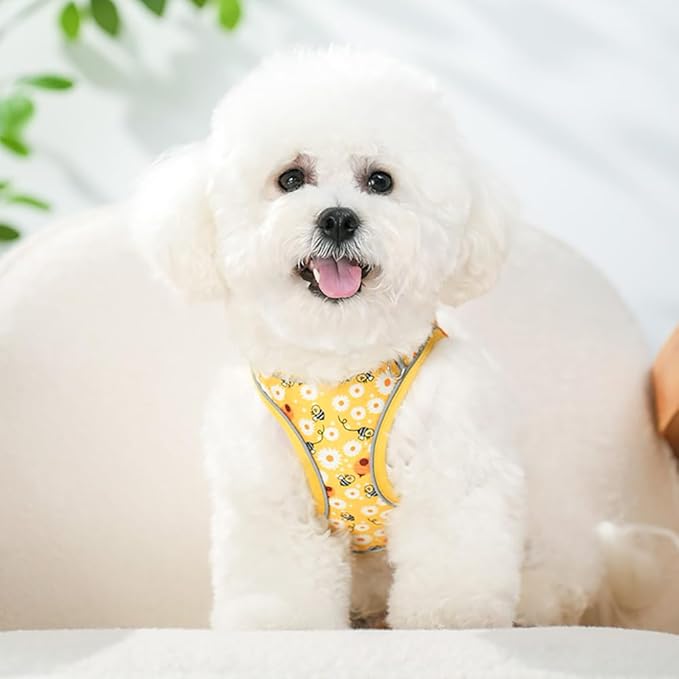 Step in Dog Harness and Leash Set, Flower Adjustable Easy Walk Puppy Harnesses, Soft Mesh Pet Vest Harness Small Size Adjustable No Pull Dog Harness for Small Dogs and Cats(Bee, XS)