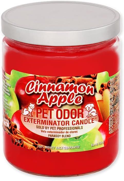 Pet Odor Exterminator Cinnamon Apple Candle - 13 oz, Pack of 2
