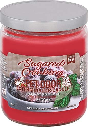 Pet Odor Exterminator Candle Sugared Cranberry