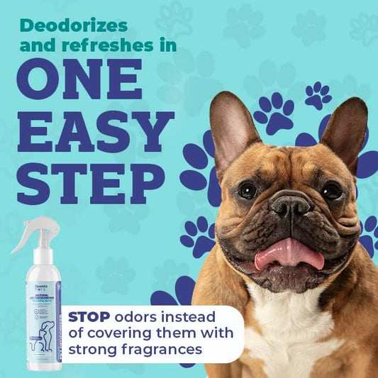 Pets Pet Deodorant & Odor Neutralizer w/Oat & Aloe | Naturally Derived Quick-Drying Deodorizer Spray for Dogs | Safe on Carpets & Furniture | Pet-Safe & Hypoallergenic | Baby Powder Scent