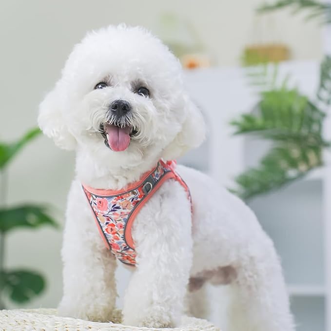 Step in Dog Harness and Leash Set, Flower Adjustable Easy Walk Puppy Harnesses, Soft Mesh Pet Vest Harness Small Size Dog Adjustable No Pull Dog Harness for Small Medium Dogs(Pink, M)