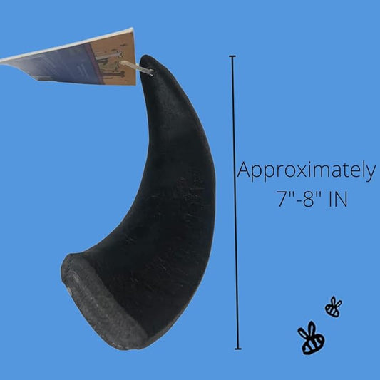 Honey I'm Home, Large Buffalo Horn Hard Dog Chew, 10 Piece Bulk Box - All Natural, Free Range, Healthy, Grain Free & Honey Coated