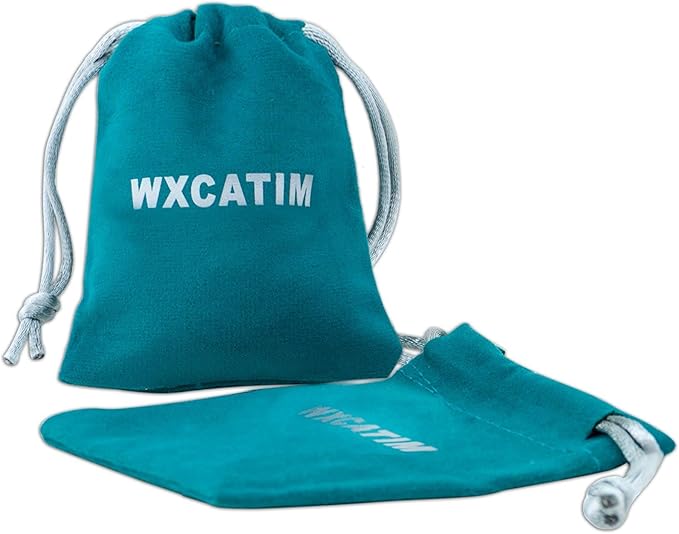 Funny Dog Tag Collar Cat Pet Id Tags for Dogs Engraved Stainless Steel I Got Lost Prowling Have Your People Call My Puppy Lover, Black