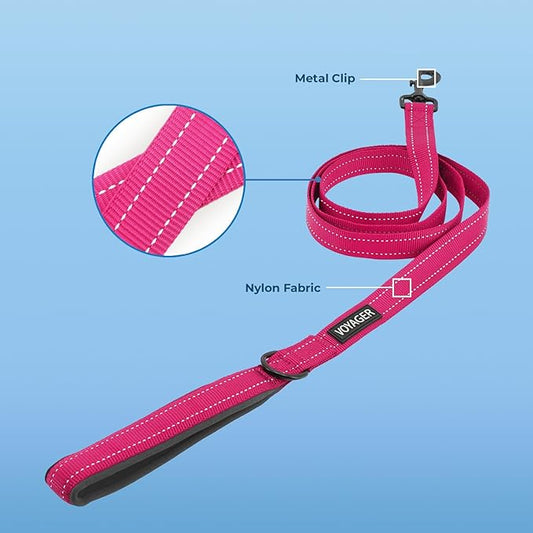 Voyager Reflective Dog Leash with Neoprene Handle, 5ft Long, Supports Small, Medium, and Large Breed Puppies, Cute and Heavy Duty for Walking, Running, and Training - Fuchsia (Leash), M