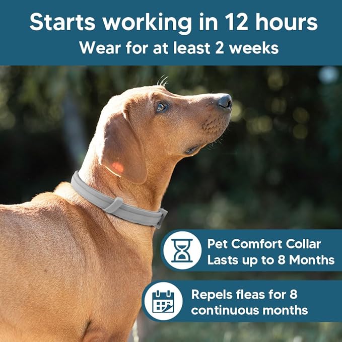 Flea Collar for Dogs, 8 Months Protection Flea & Tick Collars for Dogs, Dog Tick Collar, Adjustable One Size Fits All 2 Count 
