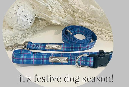 Lucky Love Dog, Blue and Violet Plaid Martingale Dog Collar and Leash Set, Premium No Slip Dog Collar and Leash Set, Martingale Collar for Male Female Dogs - (Small, Scotty Mart - Combo)