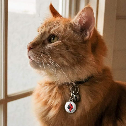 GRAPHICS & MORE Harley Quinn Diamond Logo Chrome Plated Metal Pet Dog Cat ID Tag