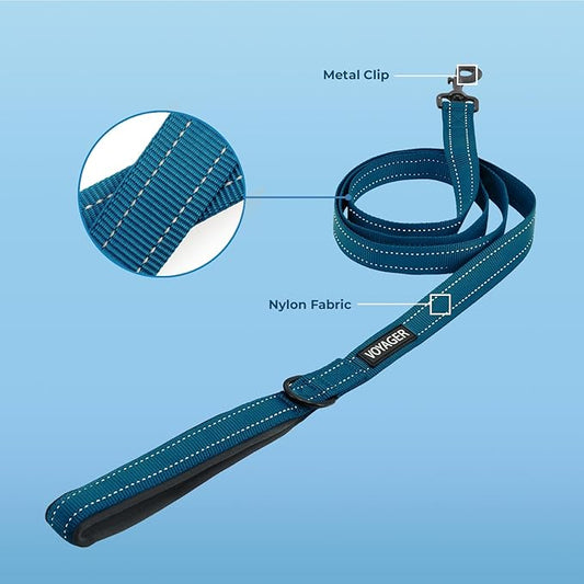 Voyager Reflective Dog Leash with Neoprene Handle, 6ft Long, Supports Small, Medium, and Large Breed Puppies, Cute and Heavy Duty for Walking, Running, and Training - Blue, L