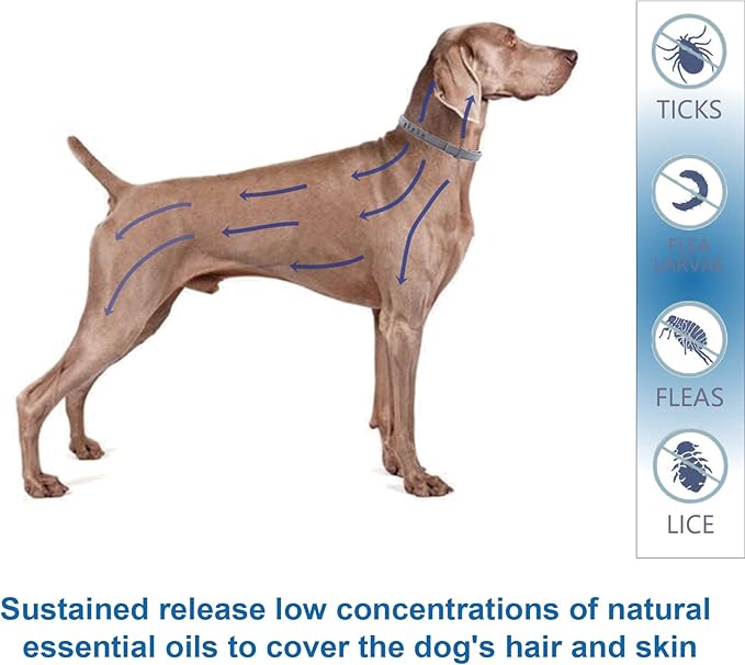 Natural Ingredients Flea Collar for Large Dogs,Safe and Effective Flea and Tick Collar, Waterproof,8 Months Protection Each,Free Comb and Tick Scoop,27.5 Inches,2-Pack