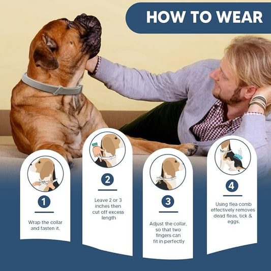 Flea Collars for Dog, Flea & Tick Collar for Dogs, Tick Collar for Large Dogs, Upgraded Sturdy & Adjustable 8 Months Prevention-Pack of 2