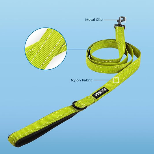 Voyager Reflective Dog Leash with Neoprene Handle, 6ft Long, Supports Small, Medium, and Large Breed Puppies, Cute and Heavy Duty for Walking, Running, and Training - Lime, L