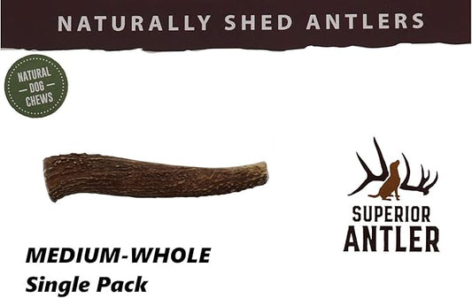 1-Medium Elk Antler –Single Pack. All Natural Premium Grade A. Antler Chew. L=5-8” Naturally shed, Hand-Picked, and Made in The USA. NO Odor, NO Mess. Guaranteed Satisfaction. for Dogs 20-45 LBS