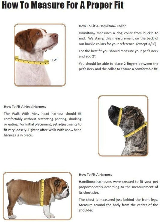 Hamilton Double Thick Nylon Deluxe Dog Collar with Brushed Hardware Finish, 1-Inch by 20-Inch, Graphite