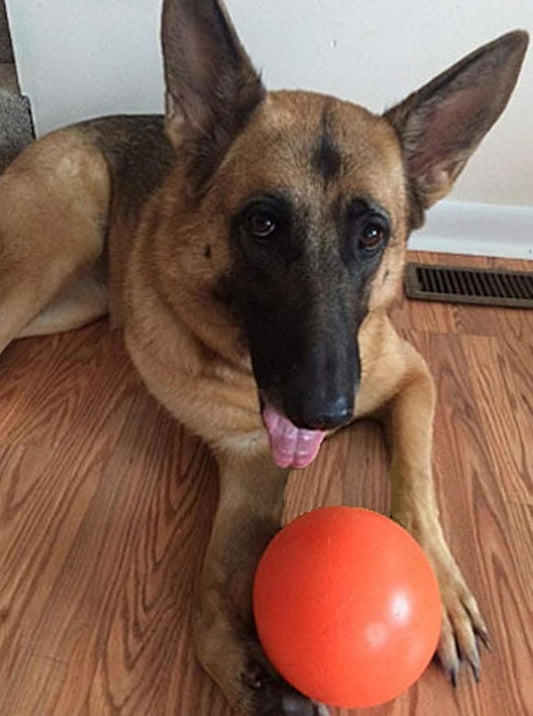 Virtually Indestructible Best Ball for Dogs, 6-inch,Colors May Vary