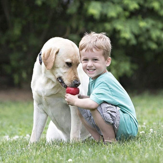 KONG Classic Stuffable Dog Toy - Fetch & Chew Toy for Dogs - Treat-Filling Capabilities & Erratic Bounce for Extended Play Time - Durable Natural Rubber Material - for Extra Large Dogs