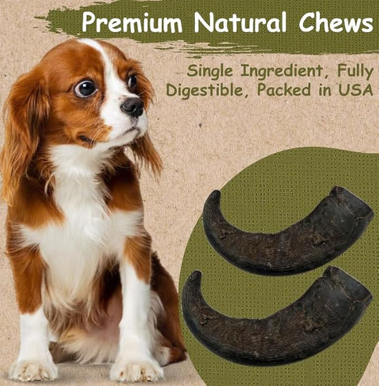 Top Dog Chews – Water Buffalo Horn, Long Lasting Dog Chew for Aggressive Chewers, All Natural, Dog Bone for Large & Medium Dogs, 2 Pack