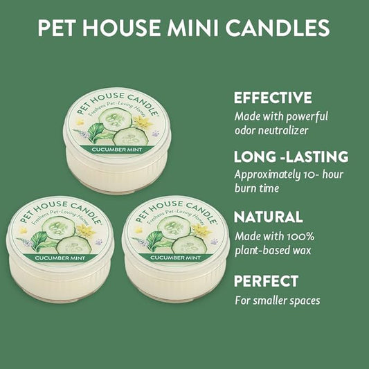 One Fur All Pet House Candle - Cucumber Mint 3 Pack - Odor Eliminator - Natural Wax Mini Candle Set