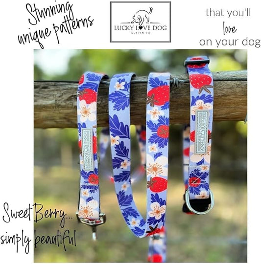 Lucky Love Dog Martingale Collar and Leash Set, Premium Fun Girl No Slip Collars, Strawberry Martingale Dog Collar and Leash Set, Great for Whippets, Greyhounds, and More (Sweet Berry, Medium - Combo)