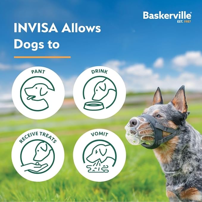 Baskerville INVISA Basket Dog Muzzle - Patented Humane Design with Facial Visibility, Padded Nose Band, Dog can Pant and Drink, Prevents Biting and Scavenging. Muzzle for Large Dogs (Size 6)