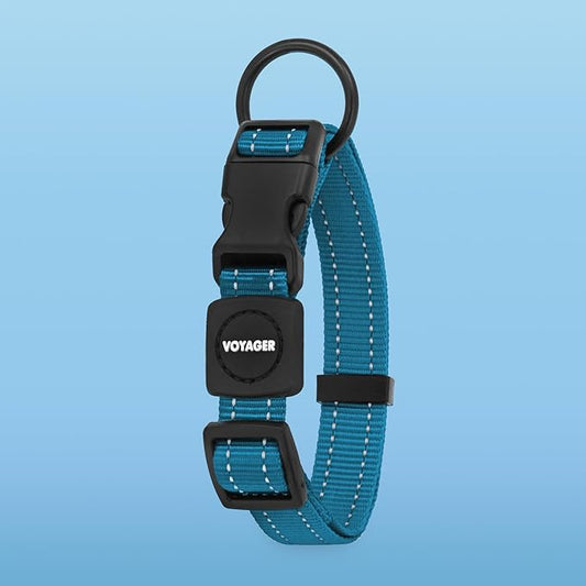 Voyager Reflective Dog Leash Collar Set with Neoprene Handle Supports Small, Medium, and Large Breed Puppies, Cute and Heavy Duty for Walking, Running, and Training - Turquoise, L
