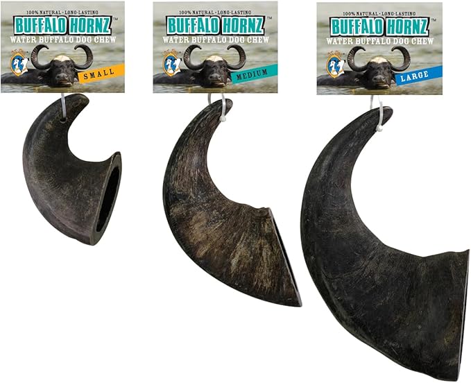 QT Dog - Buffalo Horn Large