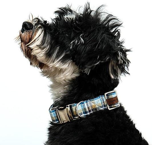 Lionet Paws Boy Dog Collar, Comfortable Adjustable Cute Blue Plaid Collar with Metal Buckle for Male Puppies and Cats Gift, XS, Neck 8-12 inches