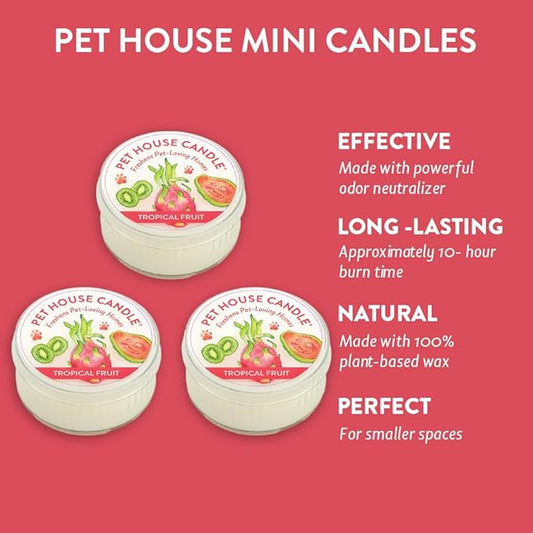 One Fur All Tropical Fruit Pet Odor Eliminator Candle - 3 Pack Natural Wax Mini Scented Candle Set