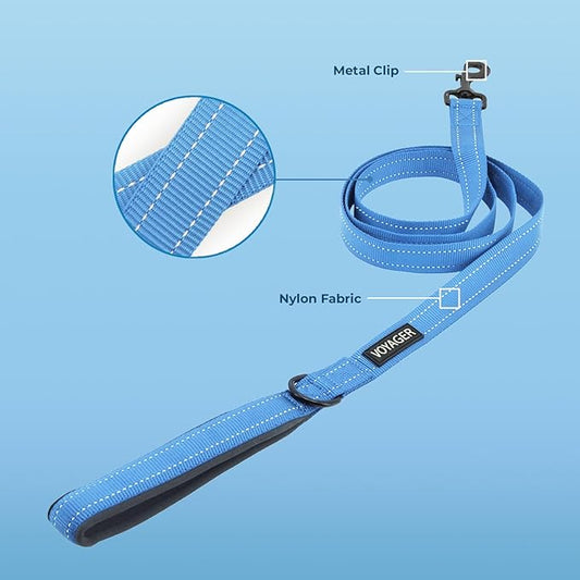 Voyager Reflective Dog Leash with Neoprene Handle, 5ft Long, Supports Small, Medium, and Large Breed Puppies, Cute and Heavy Duty for Walking, Running, and Training - Baby Blue (Leash), L