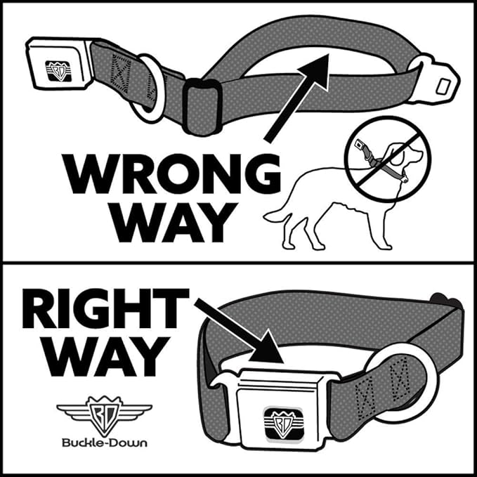 Buckle-Down Seatbelt Buckle Dog Collar - Dug 3-Poses/SQUIRREL! Brown/Yellow/White - 1" Wide - Fits 9-15" Neck - Small