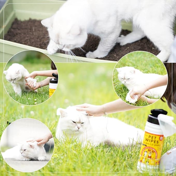 Pet Wipes for Pets Cleansing, Wipes for Dogs & Puppies-Mild & Soothing Dog Grooming Wipes, Safe to Use from Head to Toes, Strong but Gentle for Quick Cleaning, 50 Count (Pack of 12)