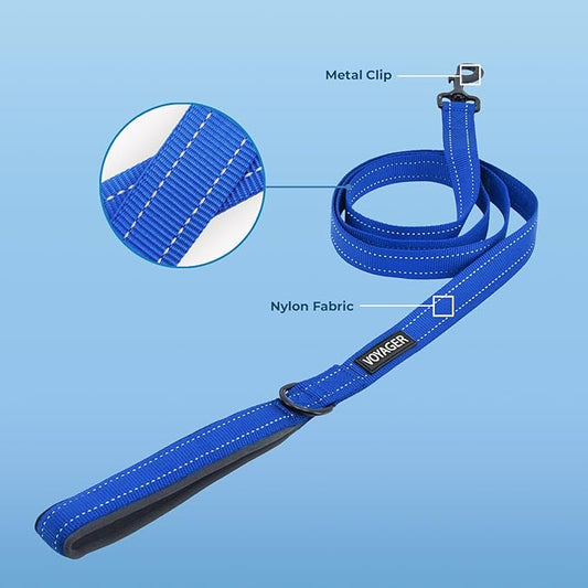 Voyager Reflective Dog Leash with Neoprene Handle, 6ft Long, Supports Small, Medium, and Large Breed Puppies, Cute and Heavy Duty for Walking, Running, and Training - Royal Blue, L