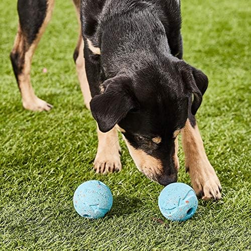 Chuckit! Rebounce Ball Dog Toy - Bouncy Fetch Balls for Dogs 20-60 lbs - Made from Durable Rubber - Outdoor Pet Toys - Size Medium - 2.5-inch Diameter - Pack of 2 - Blue