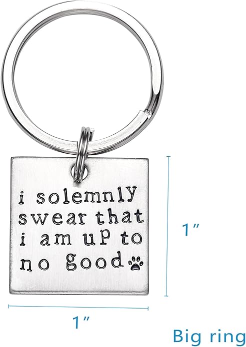 LParkin I Solemnly Swear That I am up to no Good! - Unique Pet Id Tag - Dog Tag - Cat Tag