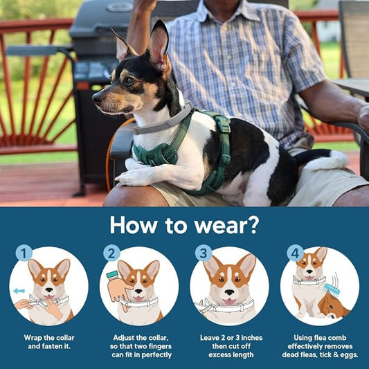 Flea Collar for Small Dogs, Tick Collars for Puppy, Small Dog Flea Collar Under 18 lbs, 8 Months Protection (Pack of 2)