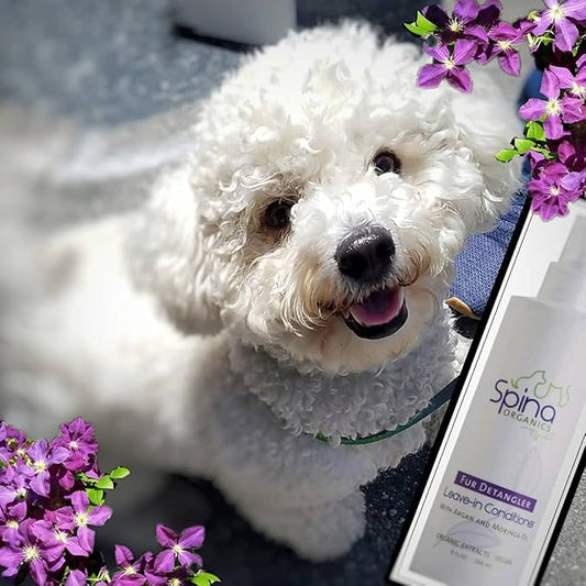All-Natural Dog Leave-in Conditioner DETANGLER Spray, with Aloe Vera and Rich in Omegas, Leave-in Moisturizing to Detangle Pet's Coat - 9 Fl Oz Made in USA