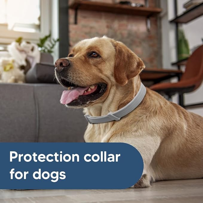 Flea Collars for Dog, Flea & Tick Collar for Dogs, Tick Collar for Large Dogs, Upgraded Sturdy & Adjustable 8 Months Prevention-Pack of 2