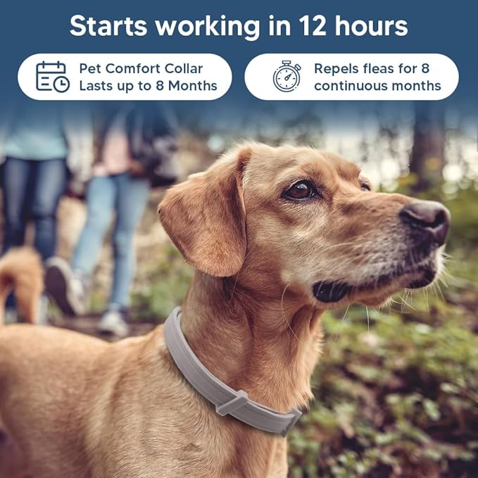 Flea Collars for Dog, Flea & Tick Collar for Dogs, Tick Collar for Large Dogs, Upgraded Sturdy & Adjustable 8 Months Prevention-Pack of 2